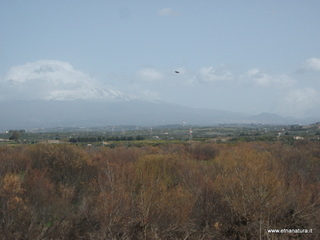 lle del Simeto-24-02-2013 10-59-57